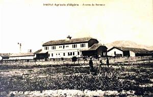 Berteaux - Institut Agricole d'Algerie